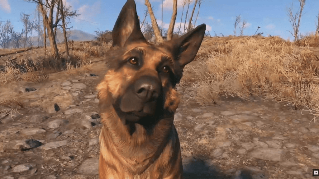 Dogmeat, Fallout sidekick, canine companion, post-apocalyptic sidekick