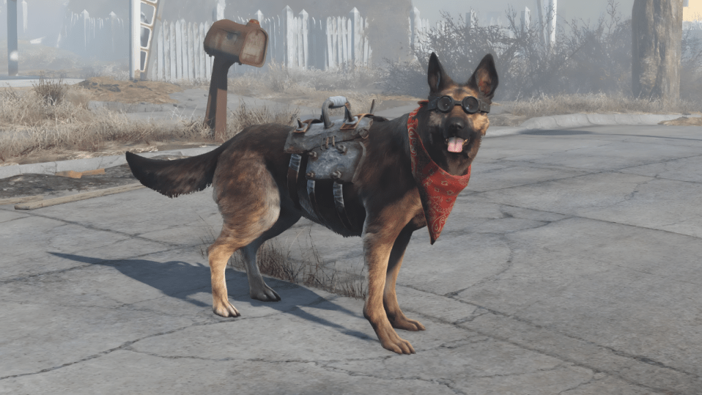 Dogmeat the dog companion in Fallout 4.